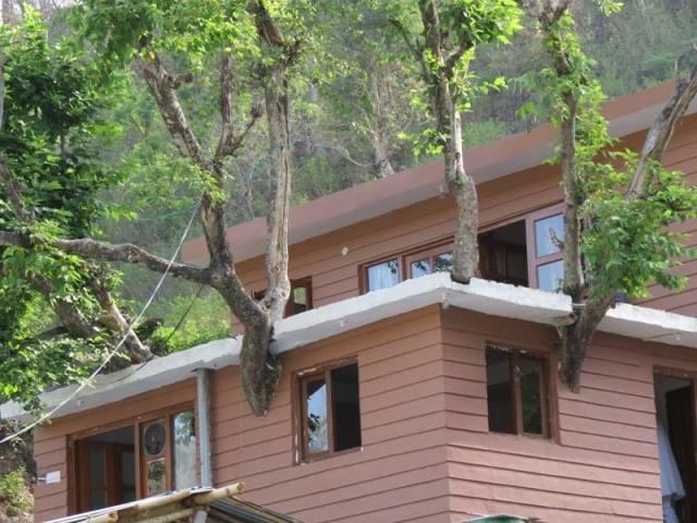 Junglee Resort Rajaji National Park Rishīkesh Rum bild